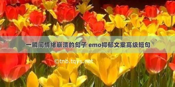 一瞬间情绪崩溃的句子 emo抑郁文案高级短句