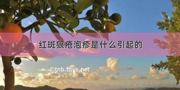 红斑狼疮泡疹是什么引起的