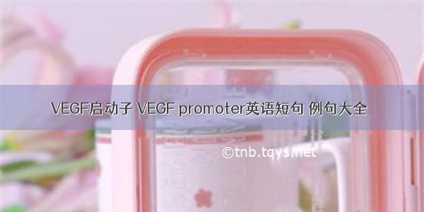 VEGF启动子 VEGF promoter英语短句 例句大全