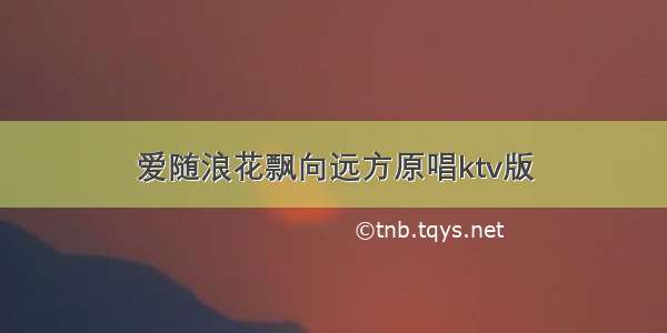 爱随浪花飘向远方原唱ktv版