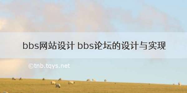 bbs网站设计 bbs论坛的设计与实现