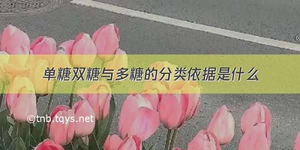 单糖双糖与多糖的分类依据是什么