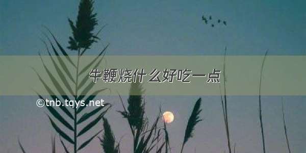 牛鞭烧什么好吃一点