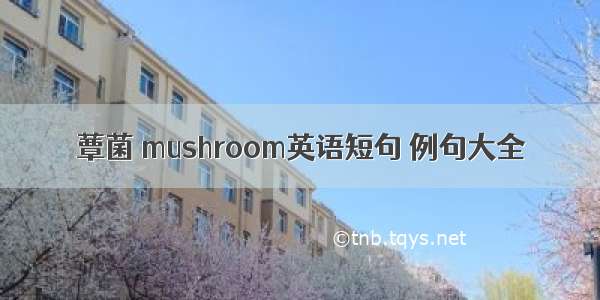 蕈菌 mushroom英语短句 例句大全