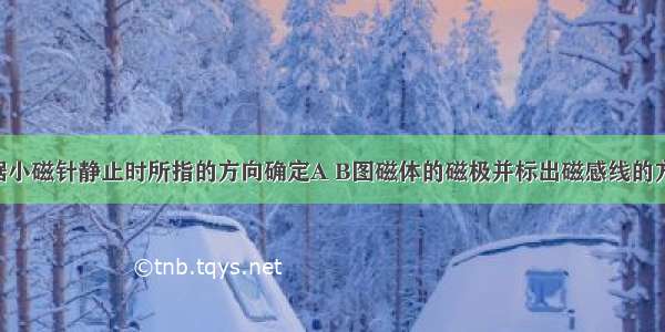 根据小磁针静止时所指的方向确定A B图磁体的磁极并标出磁感线的方向．