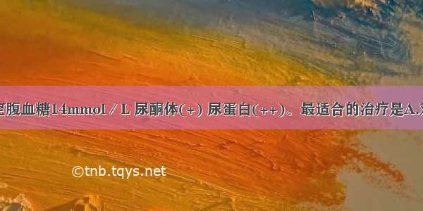 糖尿病患者空腹血糖14mmol／L 尿酮体(+) 尿蛋白(++)。最适合的治疗是A.双胍类降糖药