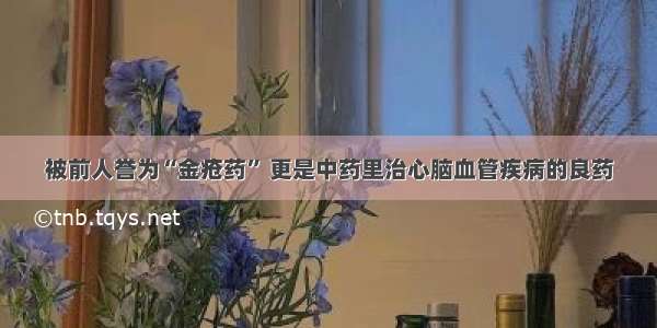 被前人誉为“金疮药” 更是中药里治心脑血管疾病的良药