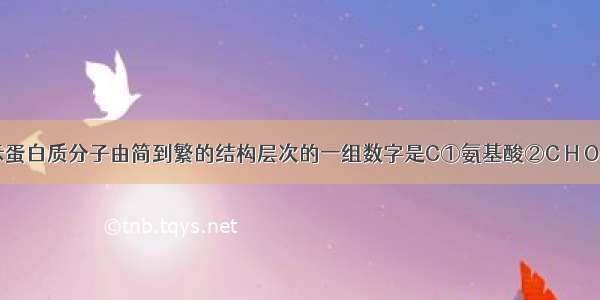 能正确表示蛋白质分子由简到繁的结构层次的一组数字是C①氨基酸②C H O N等元素③