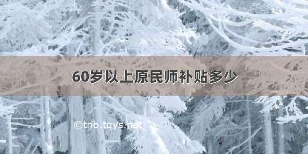 60岁以上原民师补贴多少