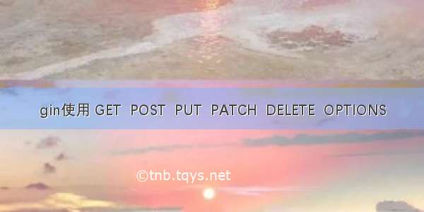 gin使用 GET  POST  PUT  PATCH  DELETE  OPTIONS