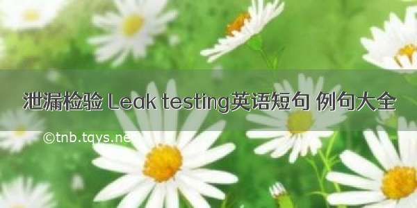 泄漏检验 Leak testing英语短句 例句大全