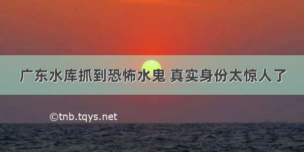 广东水库抓到恐怖水鬼 真实身份太惊人了