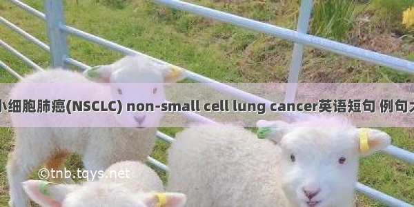 非小细胞肺癌(NSCLC) non-small cell lung cancer英语短句 例句大全