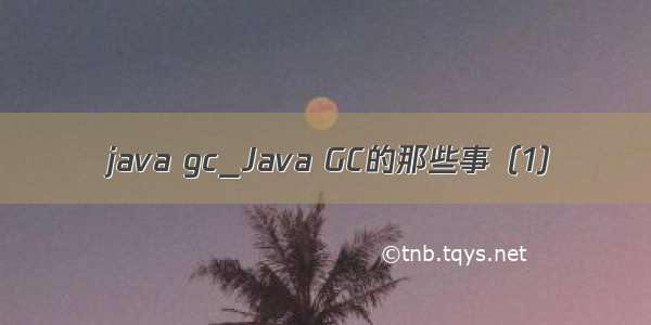 java gc_Java GC的那些事（1）