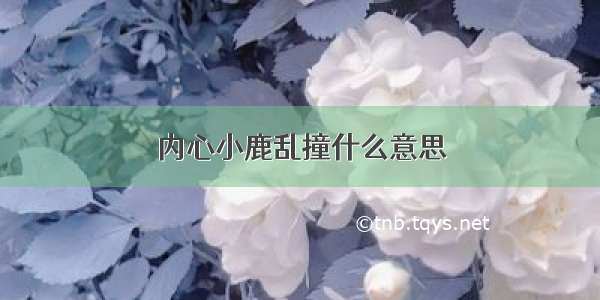 内心小鹿乱撞什么意思