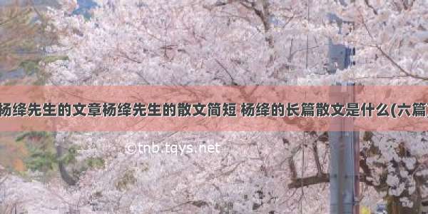 杨绛先生的文章杨绛先生的散文简短 杨绛的长篇散文是什么(六篇)