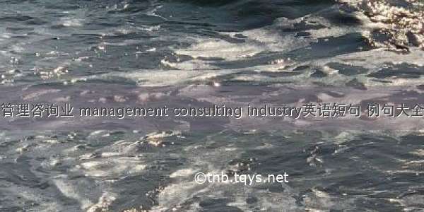 管理咨询业 management consulting industry英语短句 例句大全