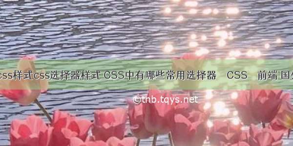 自定义css样式css选择器样式 CSS中有哪些常用选择器 – CSS – 前端 国外html5