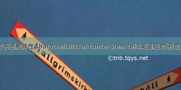 肿瘤干细胞特性 characteristics of cancer stem cells英语短句 例句大全