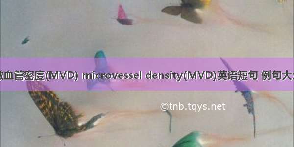 微血管密度(MVD) microvessel density(MVD)英语短句 例句大全