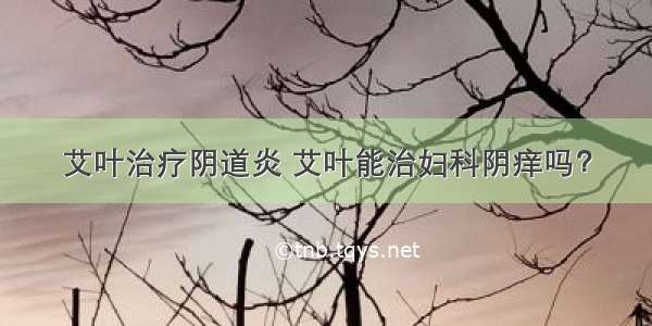 艾叶治疗阴道炎 艾叶能治妇科阴痒吗？