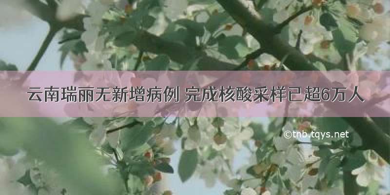 云南瑞丽无新增病例 完成核酸采样已超6万人