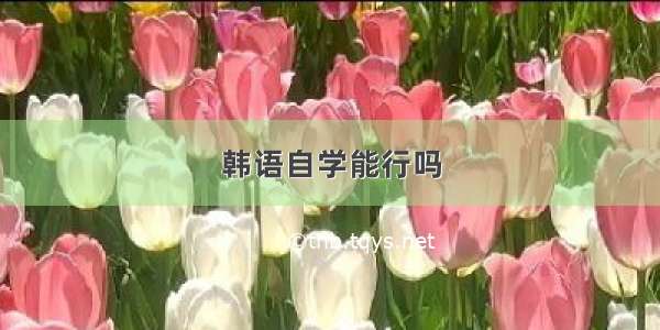 韩语自学能行吗