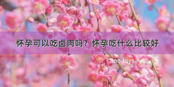 怀孕可以吃卤肉吗？怀孕吃什么比较好