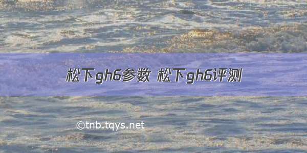 松下gh6参数 松下gh6评测