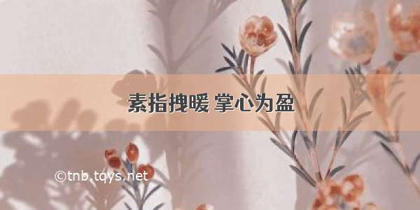 素指拽暖 掌心为盈