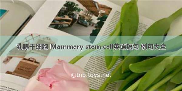 乳腺干细胞 Mammary stem cell英语短句 例句大全