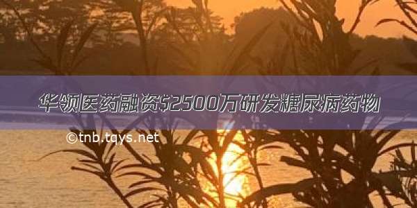 华领医药融资$2500万研发糖尿病药物