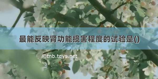 最能反映肾功能损害程度的试验是()