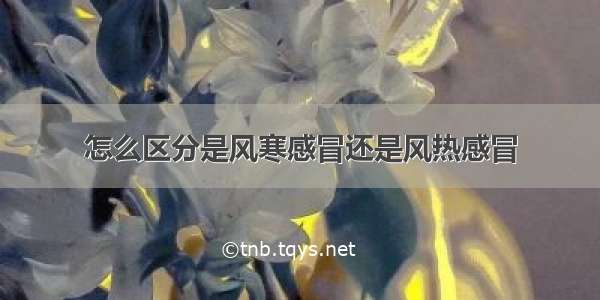 怎么区分是风寒感冒还是风热感冒