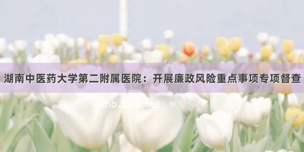 湖南中医药大学第二附属医院：开展廉政风险重点事项专项督查