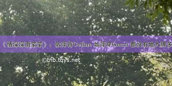 看了《情深深雨蒙蒙》：依萍背Celine 如萍穿Gucci 都没有她大牌多……