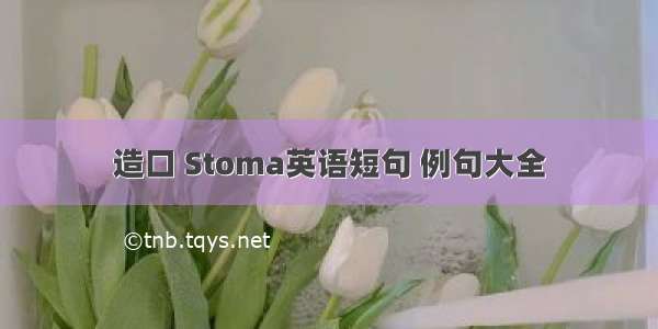 造口 Stoma英语短句 例句大全