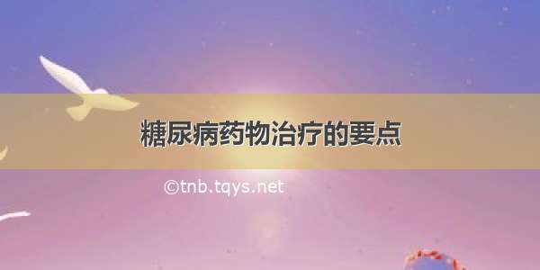 糖尿病药物治疗的要点