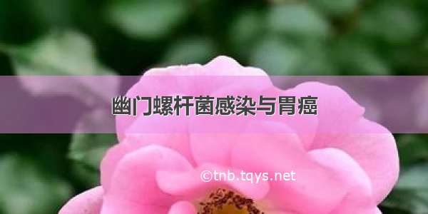 幽门螺杆菌感染与胃癌