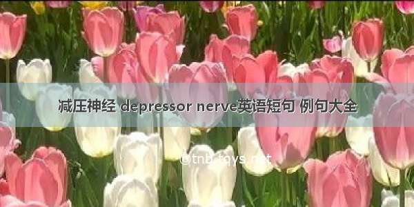 减压神经 depressor nerve英语短句 例句大全