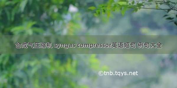 合成气压缩机 syngas compressor英语短句 例句大全