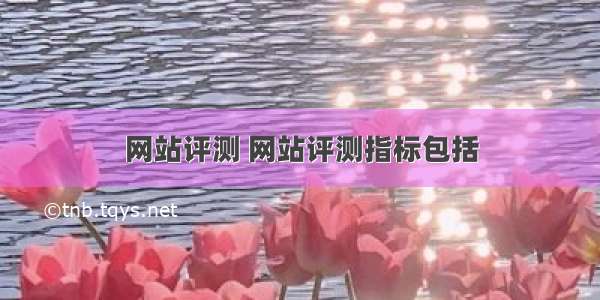 网站评测 网站评测指标包括