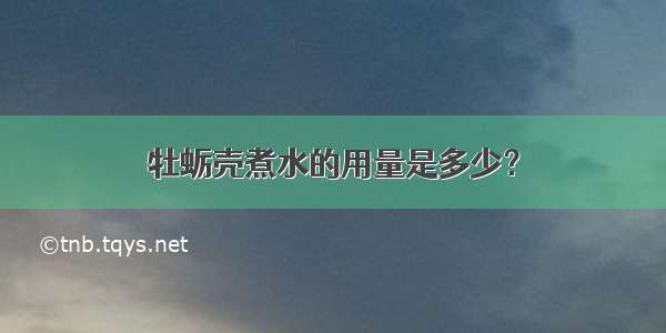 牡蛎壳煮水的用量是多少？