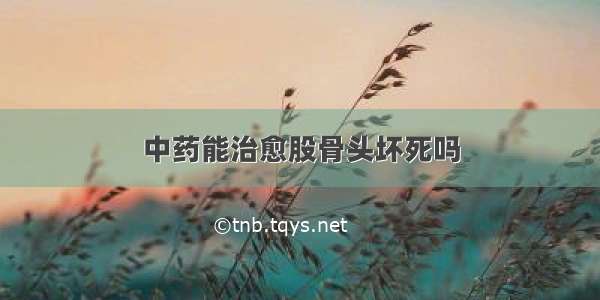 中药能治愈股骨头坏死吗