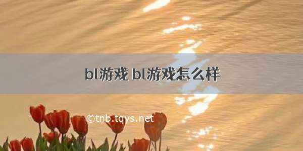 bl游戏 bl游戏怎么样