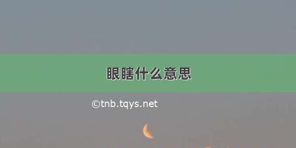 眼瞎什么意思