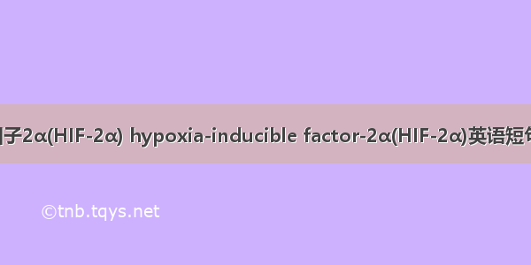 乏氧诱导因子2α(HIF-2α) hypoxia-inducible factor-2α(HIF-2α)英语短句 例句大全