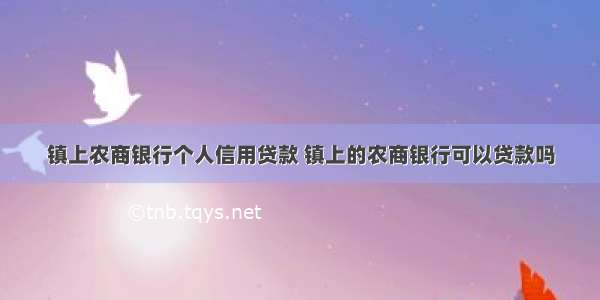 镇上农商银行个人信用贷款 镇上的农商银行可以贷款吗