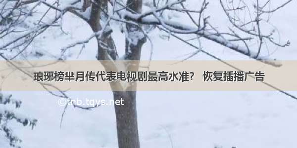 琅琊榜芈月传代表电视剧最高水准？ 恢复插播广告