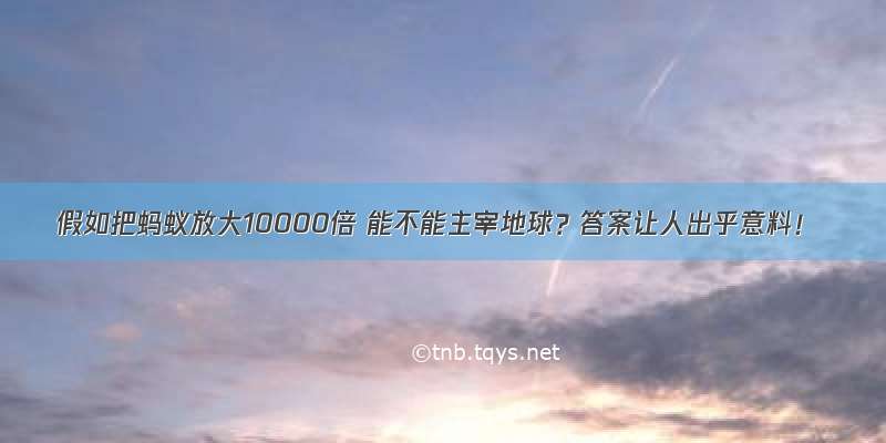 假如把蚂蚁放大10000倍 能不能主宰地球？答案让人出乎意料！